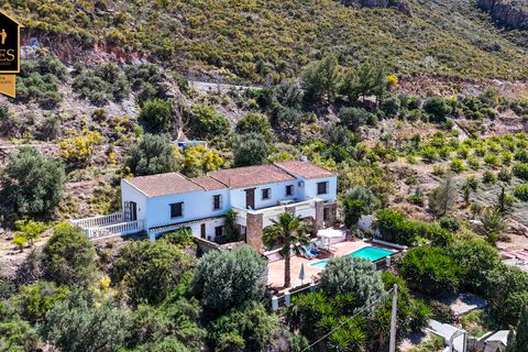 Cortijo i Cantoria, Almeria, Cantoria - € 295.000 | Ref: CAN3C03 - foto 35