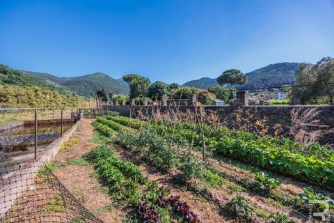 Villa i Capannori, Lucca, Capannori - € 1.500.000 | Ref: R07225CAVI - foto 13