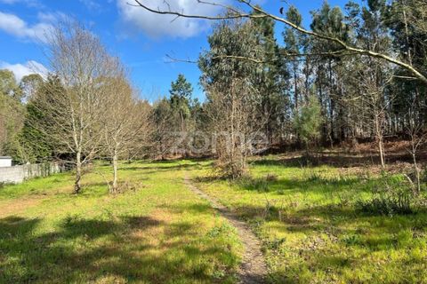 Helårsgrund i Amares, Braga, Amares - € 520.000 | Ref: ZMPT589272 - foto 2