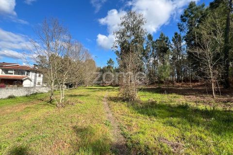 Helårsgrund i Amares, Braga, Amares - € 520.000 | Ref: ZMPT589272 - foto 3
