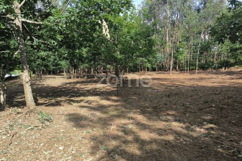 Helårsgrund i Amares, Braga, Amares - € 520.000 | Ref: ZMPT589272 - foto 4