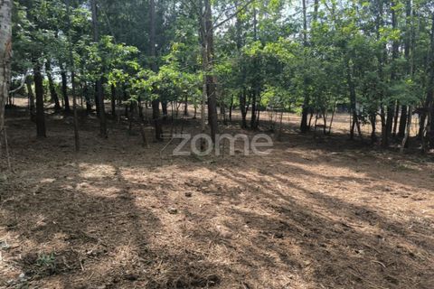 Helårsgrund i Amares, Braga, Amares - € 520.000 | Ref: ZMPT589272 - foto 5