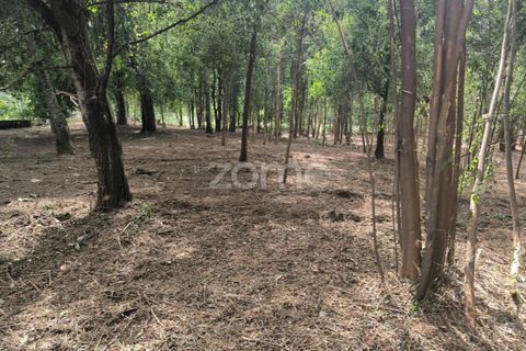 Helårsgrund i Amares, Braga, Amares - € 520.000 | Ref: ZMPT589272 - foto 6