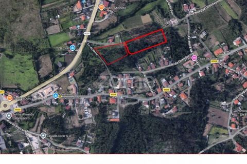 Helårsgrund i Amares, Braga, Amares - € 520.000 | Ref: ZMPT589272 - foto 13
