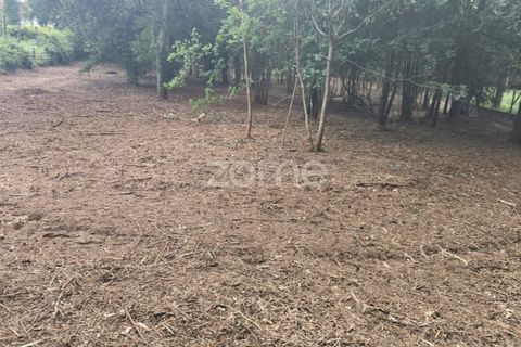 Terra a Amares, Braga, Amares - € 520.000 | Ref: ZMPT589272 - foto 7