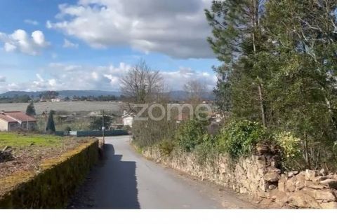 Terra a Amares, Braga, Amares - € 520.000 | Ref: ZMPT589272 - foto 9