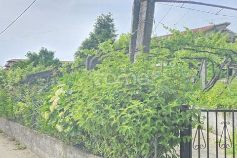 Villa i Ponte de Lima, Viana do Castelo, Ponte de Lima - € 245.000 | Ref: ZMPT589170 - foto 4