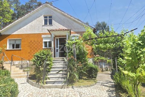 Villa i Ponte de Lima, Viana do Castelo, Ponte de Lima - € 245.000 | Ref: ZMPT589170 - foto 5
