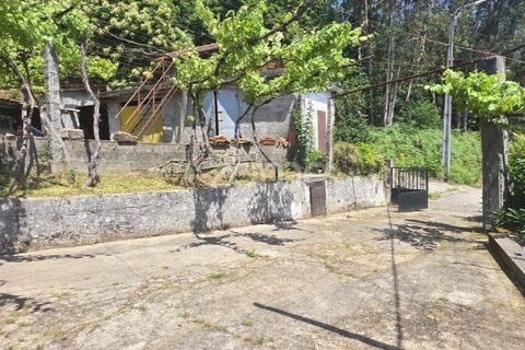 Villa i Ponte de Lima, Viana do Castelo, Ponte de Lima - € 245.000 | Ref: ZMPT589170 - foto 11