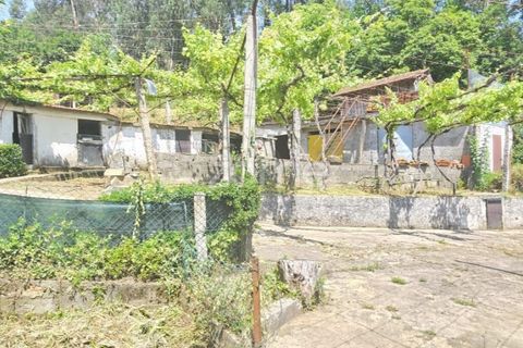 Villa i Ponte de Lima, Viana do Castelo, Ponte de Lima - € 245.000 | Ref: ZMPT589170 - foto 13
