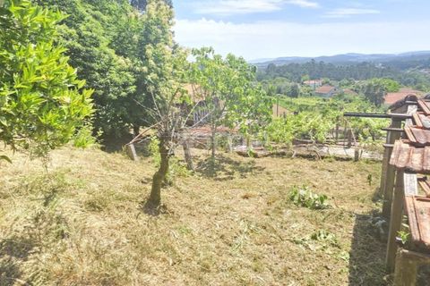 Villa i Ponte de Lima, Viana do Castelo, Ponte de Lima - € 245.000 | Ref: ZMPT589170 - foto 19
