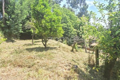 Villa i Ponte de Lima, Viana do Castelo, Ponte de Lima - € 245.000 | Ref: ZMPT589170 - foto 20