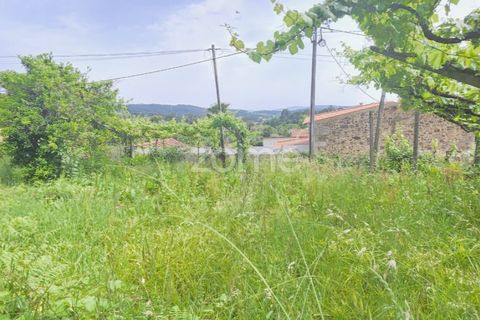 Villa i Ponte de Lima, Viana do Castelo, Ponte de Lima - € 245.000 | Ref: ZMPT589170 - foto 7