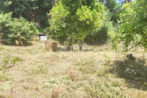 Villa i Ponte de Lima, Viana do Castelo, Ponte de Lima - € 245.000 | Ref: ZMPT589170 - foto 21