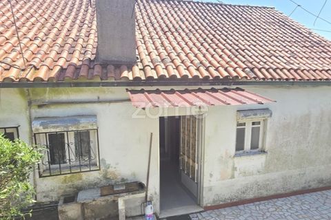 Villa i Ponte de Lima, Viana do Castelo, Ponte de Lima - € 245.000 | Ref: ZMPT589170 - foto 22
