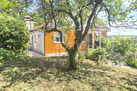 Villa i Ponte de Lima, Viana do Castelo, Ponte de Lima - € 245.000 | Ref: ZMPT589170 - foto 23