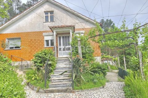 Villa i Ponte de Lima, Viana do Castelo, Ponte de Lima - € 245.000 | Ref: ZMPT589170 - foto 2