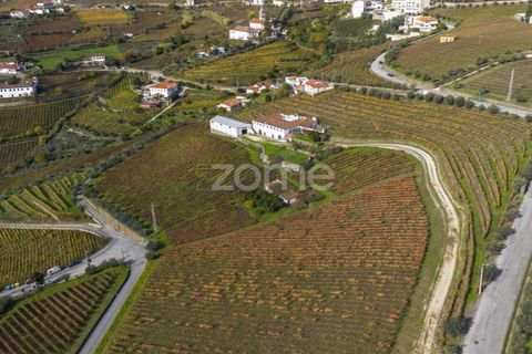 Farm i Fontelas, Vila Real, Fontelas - € 810.000 | Ref: ZMPT589278 - foto 1