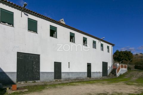 Farm i Fontelas, Vila Real, Fontelas - € 810.000 | Ref: ZMPT589278 - foto 4