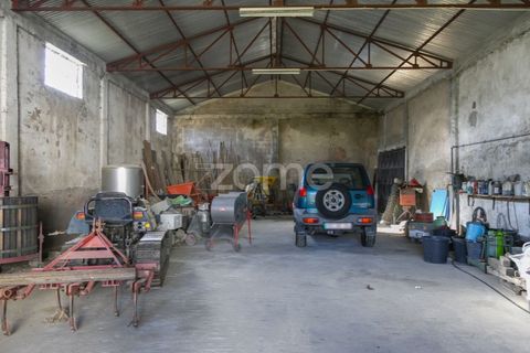 Farm i Fontelas, Vila Real, Fontelas - € 810.000 | Ref: ZMPT589278 - foto 21