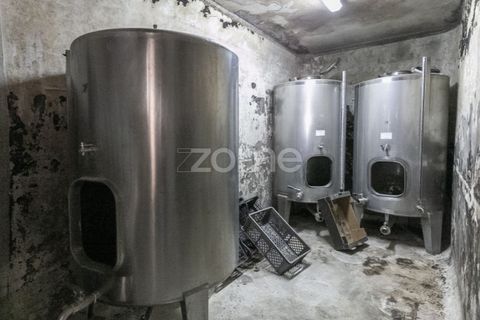 Farm i Fontelas, Vila Real, Fontelas - € 810.000 | Ref: ZMPT589278 - foto 23