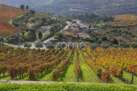 Farm i Fontelas, Vila Real, Fontelas - € 810.000 | Ref: ZMPT589278 - foto 17