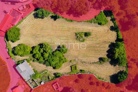 Helårsgrund i Vila Verde, Braga, Vila Verde - € 450.000 | Ref: ZMPT588983 - foto 3