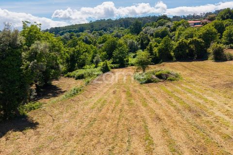 Helårsgrund i Vila Verde, Braga, Vila Verde - € 450.000 | Ref: ZMPT588983 - foto 15