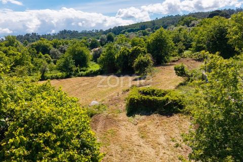 Helårsgrund i Vila Verde, Braga, Vila Verde - € 450.000 | Ref: ZMPT588983 - foto 20
