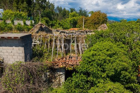 Helårsgrund i Vila Verde, Braga, Vila Verde - € 450.000 | Ref: ZMPT588983 - foto 22