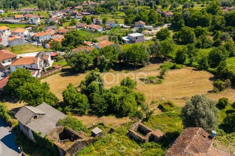 Terra a Vila Verde, Braga, Vila Verde - € 450.000 | Ref: ZMPT588983 - foto 9