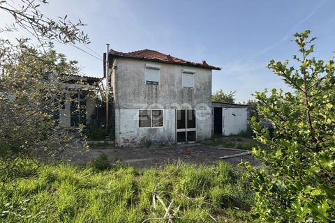 Villa i Amarante, Porto, Amarante - € 98 000 | Ref: ZMPT589209 - foto 2