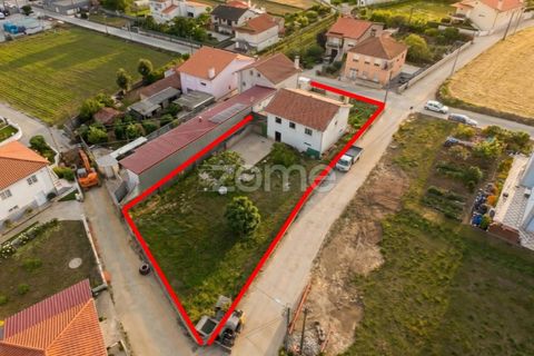 Villa i Barcelos, Braga, Barcelos - € 325.000 | Ref: ZMPT589233 - foto 2