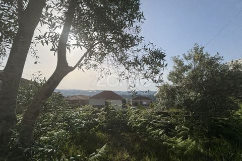 Helårsgrund i Amarante, Porto, Amarante - € 48.000 | Ref: ZMPT589213 - foto 3
