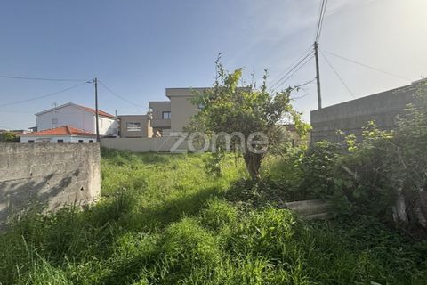 Helårsgrund i Amarante, Porto, Amarante - € 48.000 | Ref: ZMPT589213 - foto 11