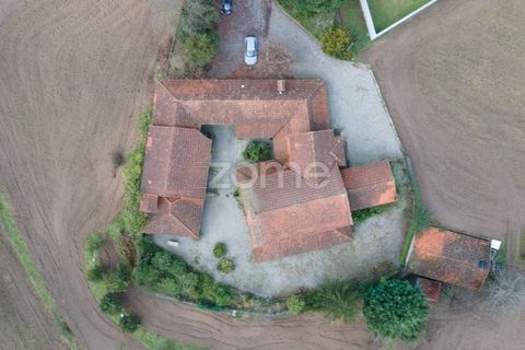 Farm i Lousada, Porto, Lousada - € 850.000 | Ref: ZMPT589117 - foto 3