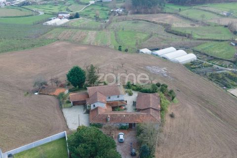 Farm i Lousada, Porto, Lousada - € 850.000 | Ref: ZMPT589117 - foto 5