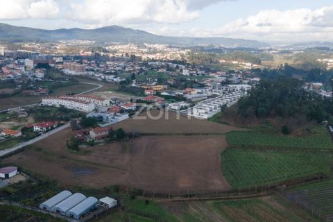 Farm i Lousada, Porto, Lousada - € 850.000 | Ref: ZMPT589117 - foto 7