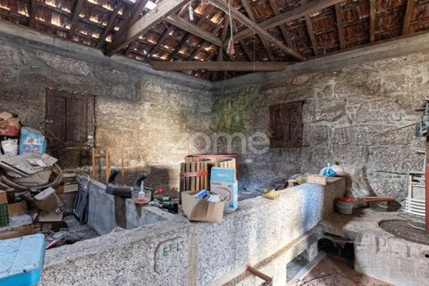 Farm i Lousada, Porto, Lousada - € 850.000 | Ref: ZMPT589117 - foto 49