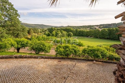 Farm i Guarda, Guarda, Guarda - € 600.000 | Ref: ZMPT589085 - foto 22