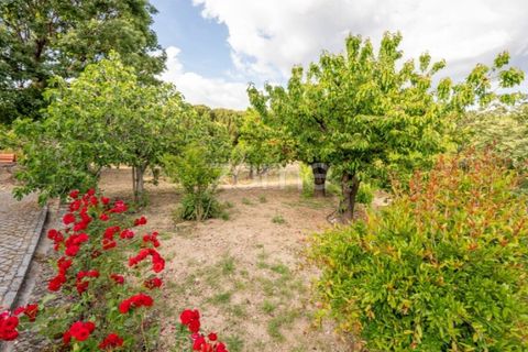 Farm i Guarda, Guarda, Guarda - € 600.000 | Ref: ZMPT589085 - foto 26