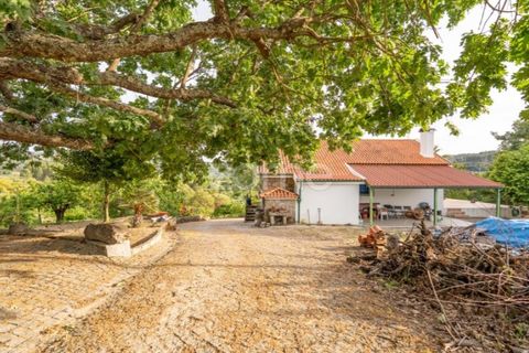Farm i Guarda, Guarda, Guarda - € 600.000 | Ref: ZMPT589085 - foto 28