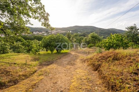 Farm i Guarda, Guarda, Guarda - € 600.000 | Ref: ZMPT589085 - foto 29