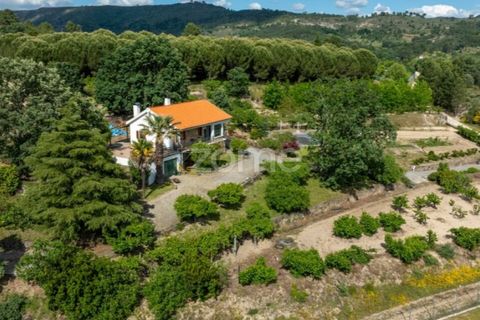Farm i Guarda, Guarda, Guarda - € 600.000 | Ref: ZMPT589085 - foto 31
