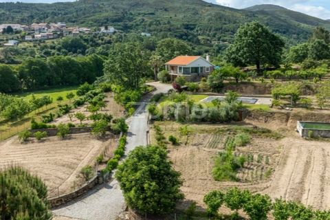 Farm i Guarda, Guarda, Guarda - € 600.000 | Ref: ZMPT589085 - foto 32