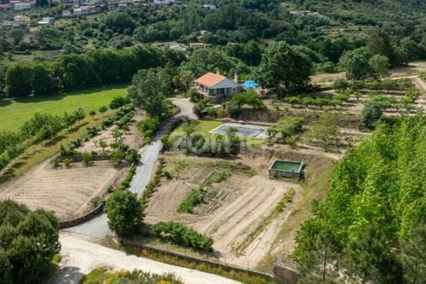 Farm i Guarda, Guarda, Guarda - € 600.000 | Ref: ZMPT589085 - foto 34
