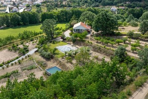 Farm i Guarda, Guarda, Guarda - € 600.000 | Ref: ZMPT589085 - foto 35