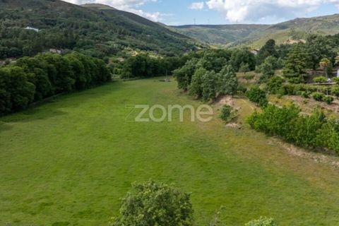 Farm i Guarda, Guarda, Guarda - € 600.000 | Ref: ZMPT589085 - foto 36