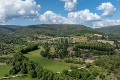 Farm i Guarda, Guarda, Guarda - € 600.000 | Ref: ZMPT589085 - foto 37