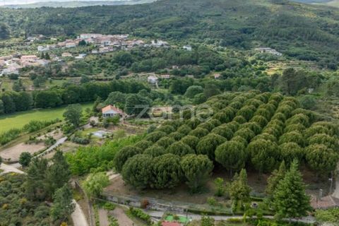Farm i Guarda, Guarda, Guarda - € 600.000 | Ref: ZMPT589085 - foto 38
